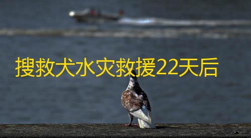 暗区突围外挂透视追漫神器